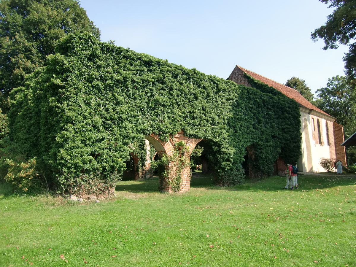 Hotel Zum Birkenhof Stechlin Esterno foto